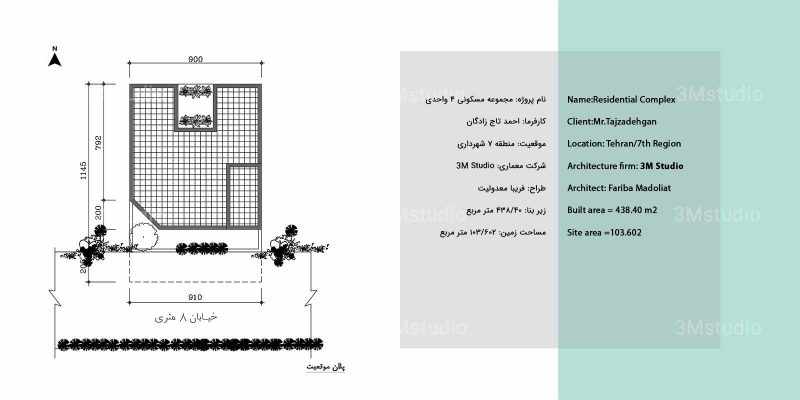تاج-زادگان (1)